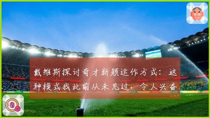 戴维斯探讨奇才新颖运作方式：这种模式我此前从未见过，令人兴奋