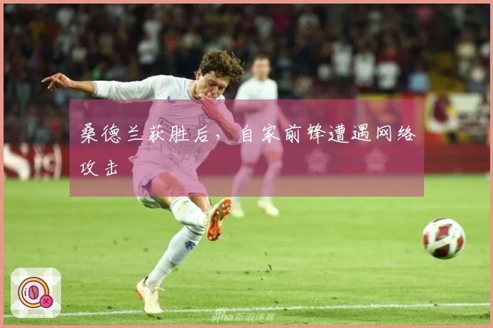 桑德兰获胜后，自家前锋遭遇网络攻击